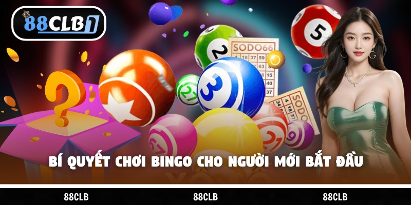 Bí quyết chơi Bingo cho người mới bắt đầu
