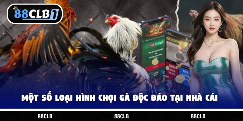 Một số loại hình chọi gà độc đáo tại nhà cái