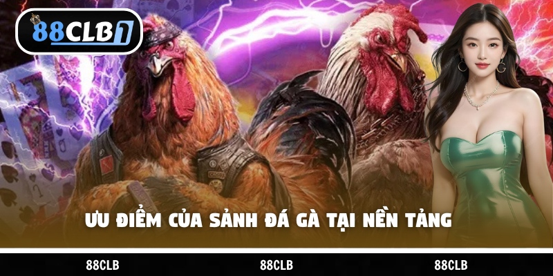 Ưu điểm của sảnh đá gà tại nền tảng