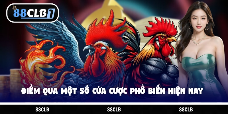 Điểm qua một số cửa cược phổ biến hiện nay