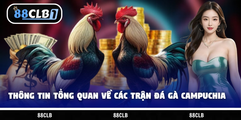Thông tin tổng quan về các trận đá gà Campuchia