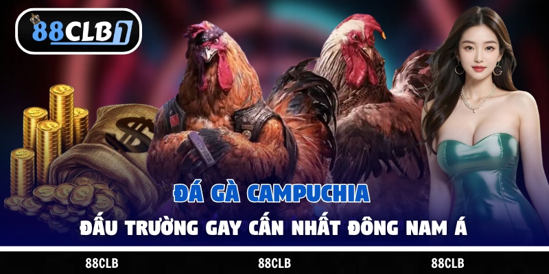 Đá Gà Campuchia – Đấu Trường Gay Cấn Nhất Đông Nam Á