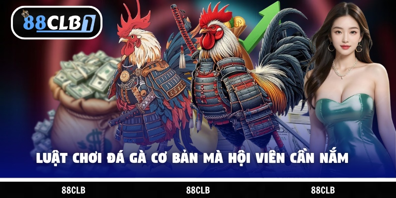 Luật chơi đá gà cơ bản mà hội viên cần nắm