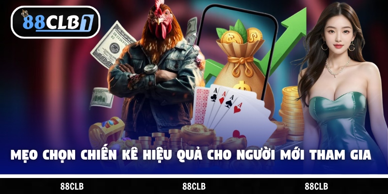 Mẹo chọn chiến kê hiệu quả cho người mới tham gia