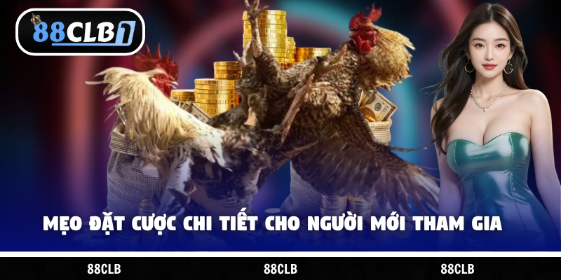 Mẹo đặt cược chi tiết cho người mới tham gia