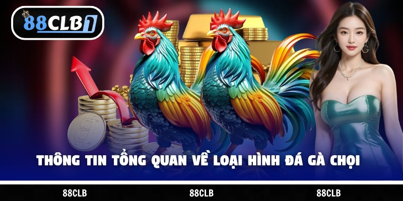 Thông tin tổng quan về loại hình đá gà chọi