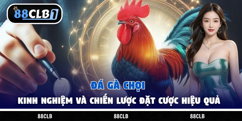Đá Gà Chọi - Kinh Nghiệm Và Chiến Lược Đặt Cược Hiệu Quả