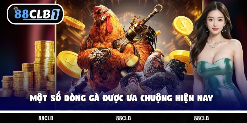Một số dòng gà được ưa chuộng hiện nay
