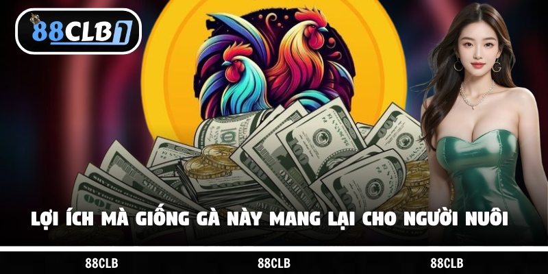 Lợi ích mà giống gà này mang lại cho người nuôi