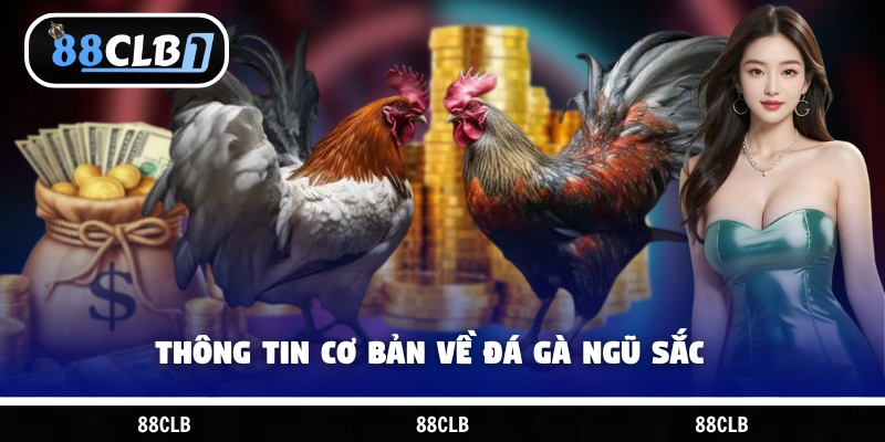 Thông tin cơ bản về đá gà ngũ sắc