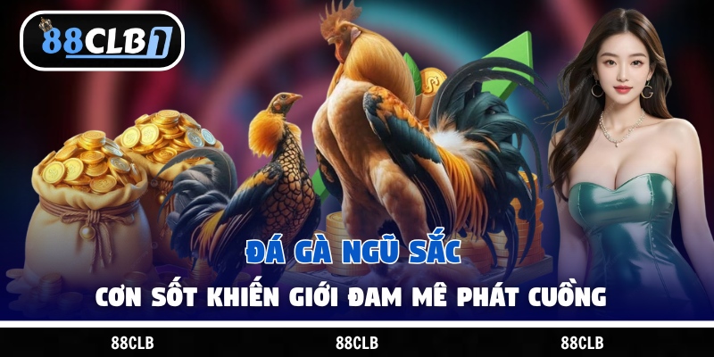 Đá Gà Ngũ Sắc - Cơn Sốt Khiến Giới Đam Mê Phát Cuồng