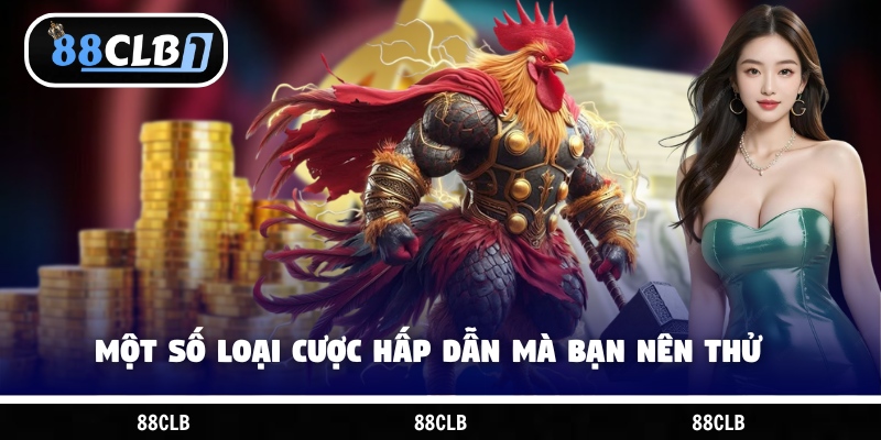 Một số loại hình đá gà thông dụng hiện nay