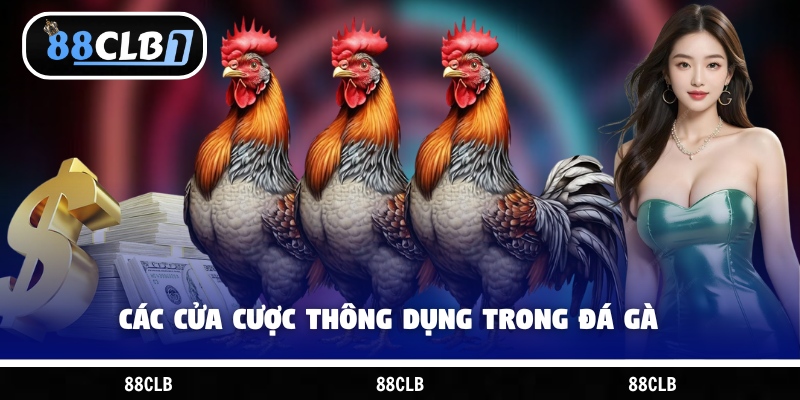 Các cửa cược thông dụng trong đá gà