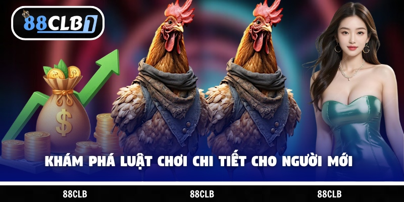 Khám phá luật chơi chi tiết cho người mới