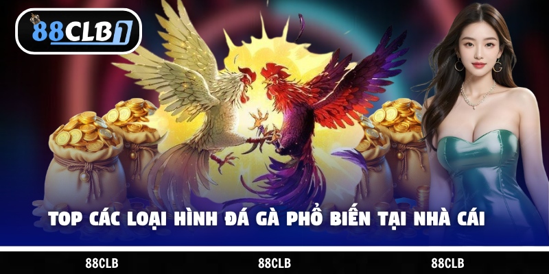 Top các loại hình đá gà phổ biến tại nhà cái