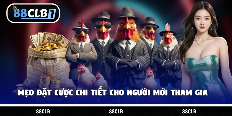 Mẹo đặt cược chi tiết cho người mới tham gia