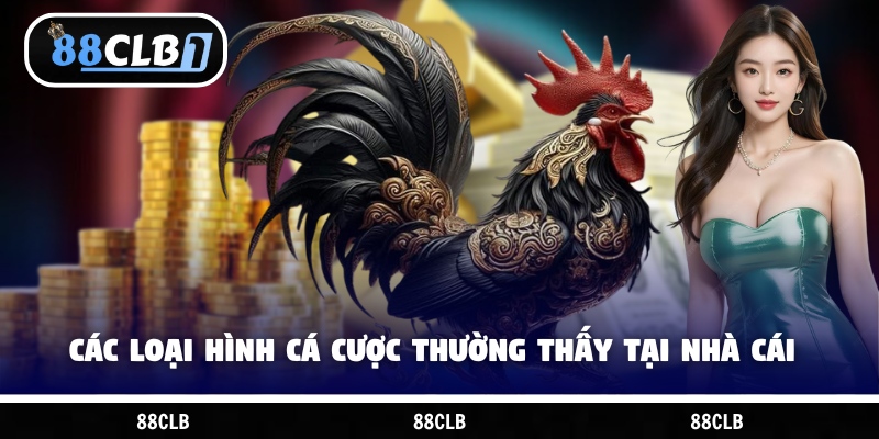 Các loại hình cá cược thường thấy tại nhà cái