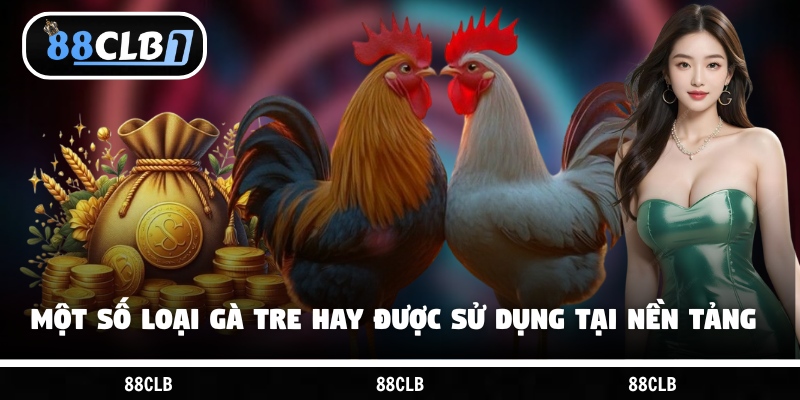 Một số loại gà tre hay được sử dụng tại nền tảng