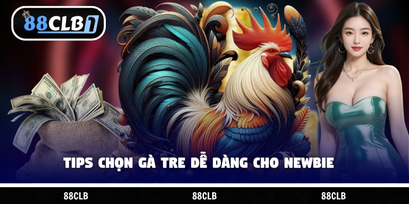 Tips chọn gà tre dễ dàng cho newbie