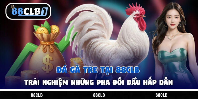 Đá Gà Tre Tại 88CLB – Trải Nghiệm Những Pha Đối Đầu Hấp Dẫn