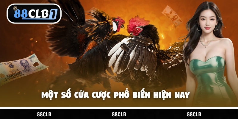 Một số cửa cược phổ biến hiện nay