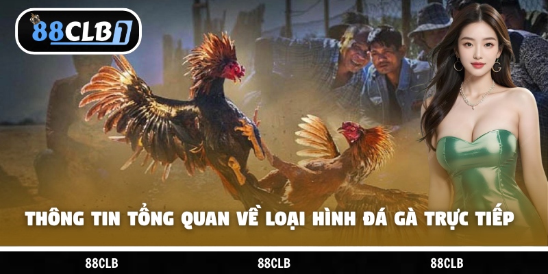 Thông tin tổng quan về loại hình đá gà trực tiếp