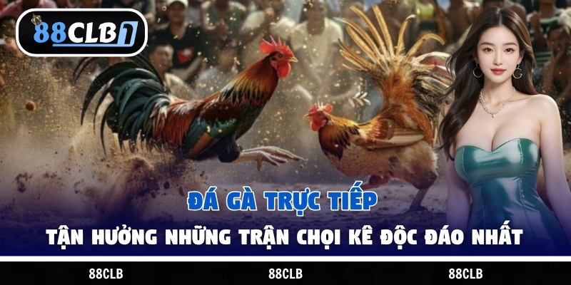 Đá Gà Trực Tiếp – Tận Hưởng Những Trận Chọi Kê Độc Đáo Nhất