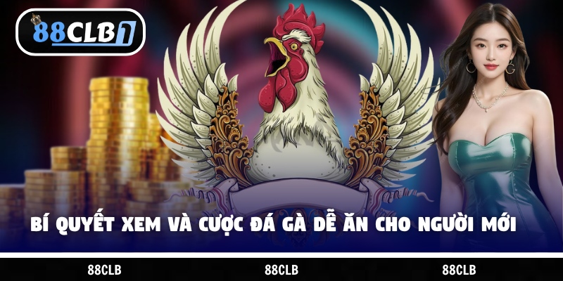 Bí quyết xem và cược đá gà dễ ăn cho người mới