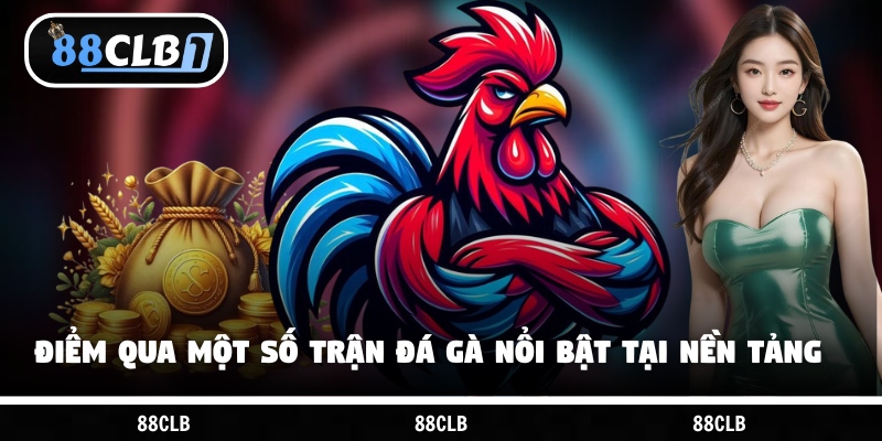 Điểm qua một số trận đá gà nổi bật hôm nay tại nền tảng