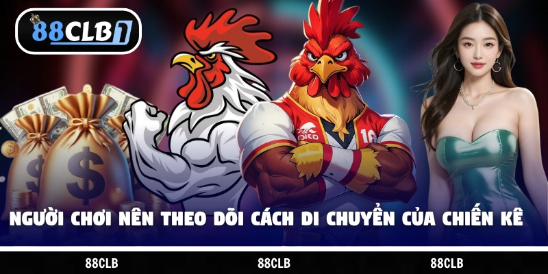 Người chơi nên theo dõi cách di chuyển của chiến kê