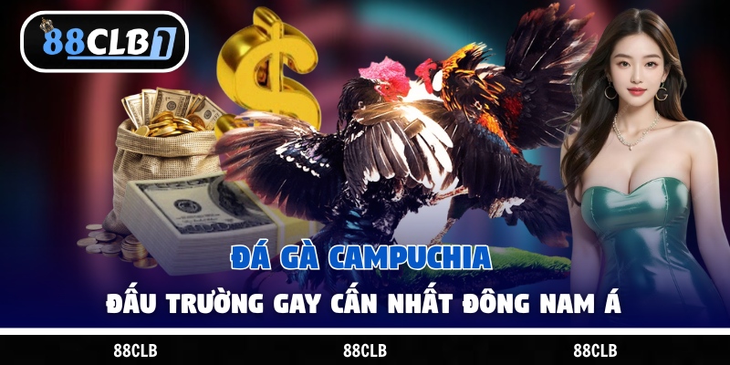 Xem Đá Gà Hôm Nay – Trực Tiếp Các Trận Hấp Dẫn Tại 88Clb